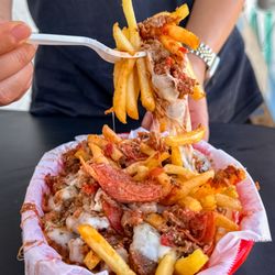 Philadelphia Sandwich Company and Catering - Pepperoni Pizza Fries