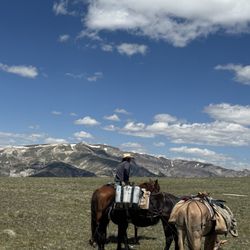 CR Horseback Adventures