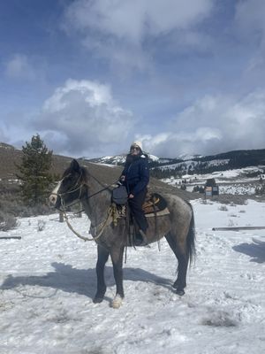 Jake's Horses Inc. by null