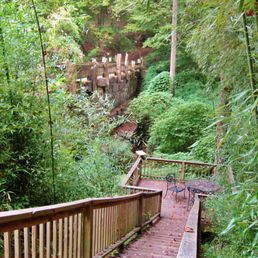 Along the Chinqua Penn Walking Trail, 2016