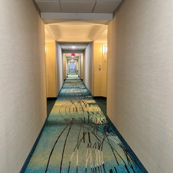 SpringHill Suites by Marriott Lansing - Halls - Hotels Near Me - Lansing, Michigan SpringHill Suites by Marriott Lansing - Halls - Hotels Near Me - Lansing, Michigan