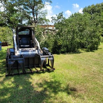 Precision Tree And Dumpster Services - Tree Services Near Me Precision Tree And Dumpster Services - Tree Services Near Me