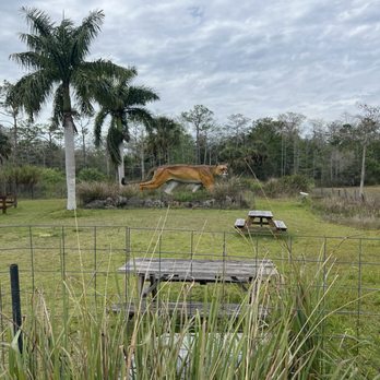 Skunk Ape Research Headquarters - Giant panther - Local Flavor Near Me - Ochopee, Florida Skunk Ape Research Headquarters - Giant panther - Local Flavor Near Me - Ochopee, Florida
