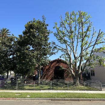 Mario's Tree Service & Stump Grinding - After - Tree Services Near Me - Long Beach, California Mario's Tree Service & Stump Grinding - After - Tree Services Near Me - Long Beach, California