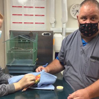 De Anza Veterinary Clinic - Veterinarians Near Me - Cupertino, California