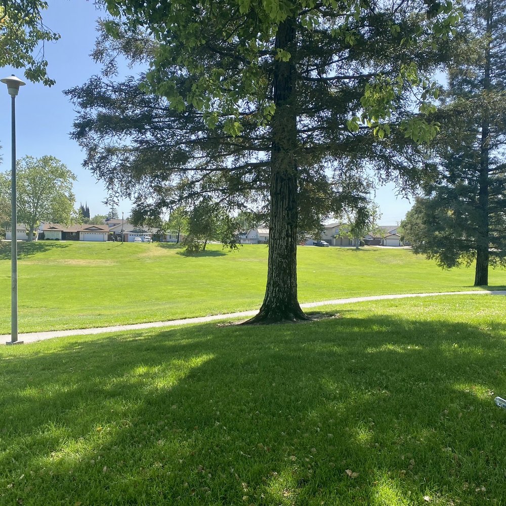 Shasta Park - I enjoyed walking around the path. - Parks Near Me - Manteca, California Shasta Park - I enjoyed walking around the path. - Parks Near Me - Manteca, California