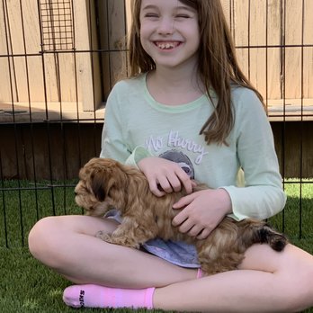 PUPPIES AND REPTILES FOR PARTIES - Updated June 2024 - 150 Photos & 133