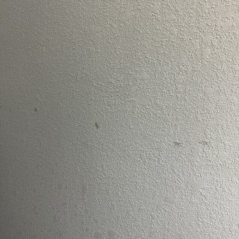 Saddlebrook Resort - More stains walls - Resorts Near Me - Wesley Chapel, Florida Saddlebrook Resort - More stains walls - Resorts Near Me - Wesley Chapel, Florida