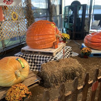 Durham Fair - Festivals Near Me - Durham, Connecticut Durham Fair - Festivals Near Me - Durham, Connecticut