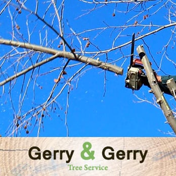 Gerry & Gerry Tree Service - Tree Trimming - Tree Services Near Me Gerry & Gerry Tree Service - Tree Trimming - Tree Services Near Me