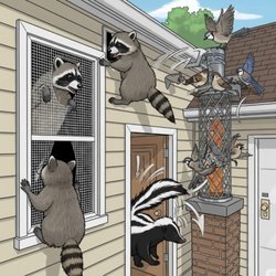 NCS Wildlife Solutions - Keeping Your Home Wild-Free, Year-Round