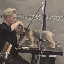 We all could feel the loving vibes as we saw our dog being carefully groomed by "Anastasia " at Barkhouse on Laurel.