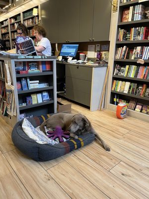 The Garden District Book Shop by null