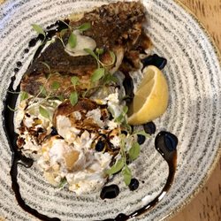 Little Lipari - Barramundi