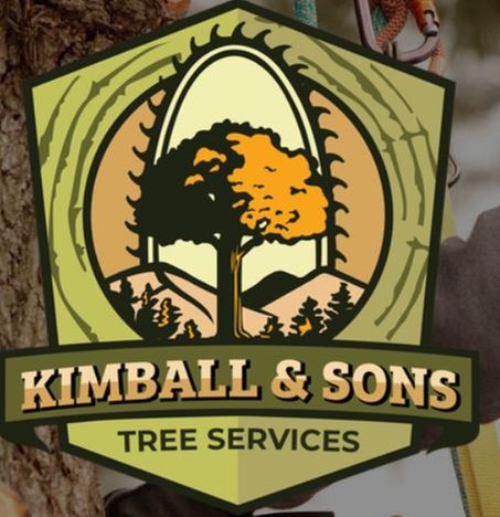 Kimball & Sons Tree Experts - tree service in West Newfield, ME
