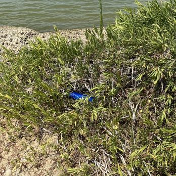Lake Tawakoni State Park - Beer trash. Almost in the water too. SMH - Parks Near Me - Wills Point, Texas Lake Tawakoni State Park - Beer trash. Almost in the water too. SMH - Parks Near Me - Wills Point, Texas