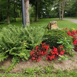 Oak Ledges Disc Golf Course