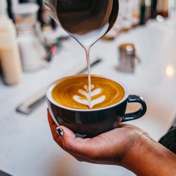 Foxtail Coffee - Telecom Village - a bari serving a cup of coffee - Coffee & Tea Near Me - Temple Terrace, Florida Foxtail Coffee - Telecom Village - a bari serving a cup of coffee - Coffee & Tea Near Me - Temple Terrace, Florida