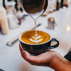 Foxtail Coffee - Telecom Village