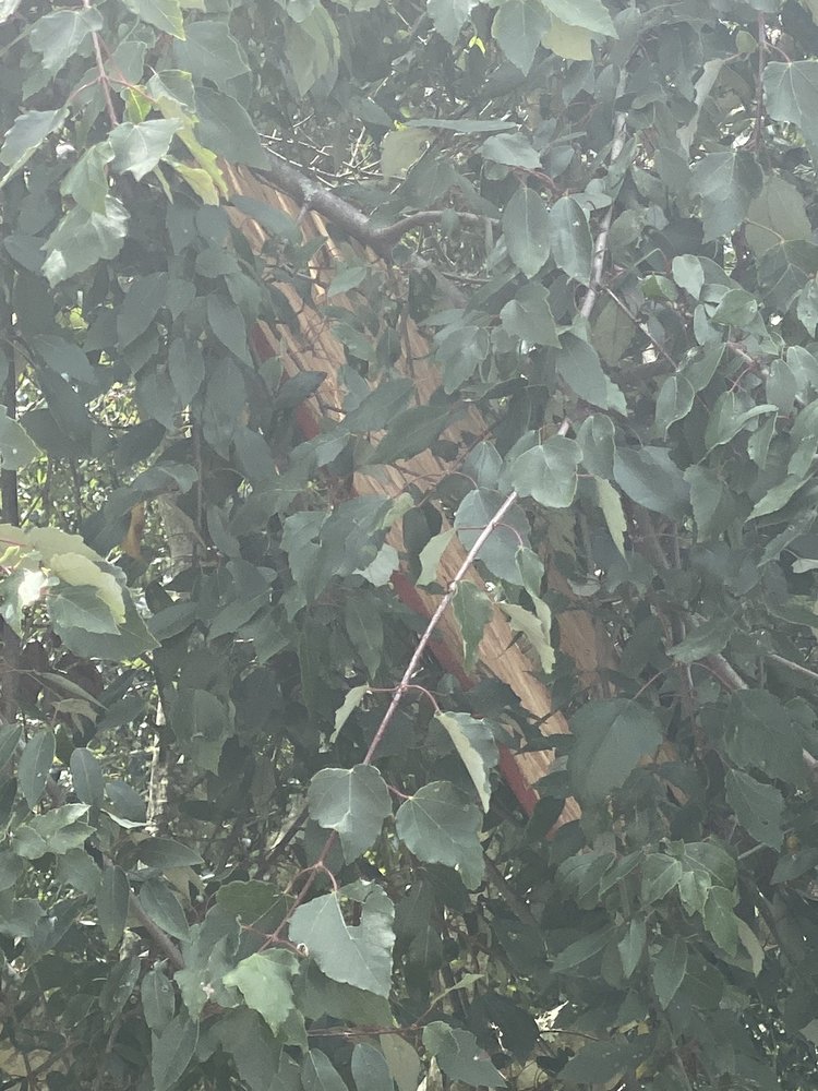 Slide of ImproveIT! of Atlanta