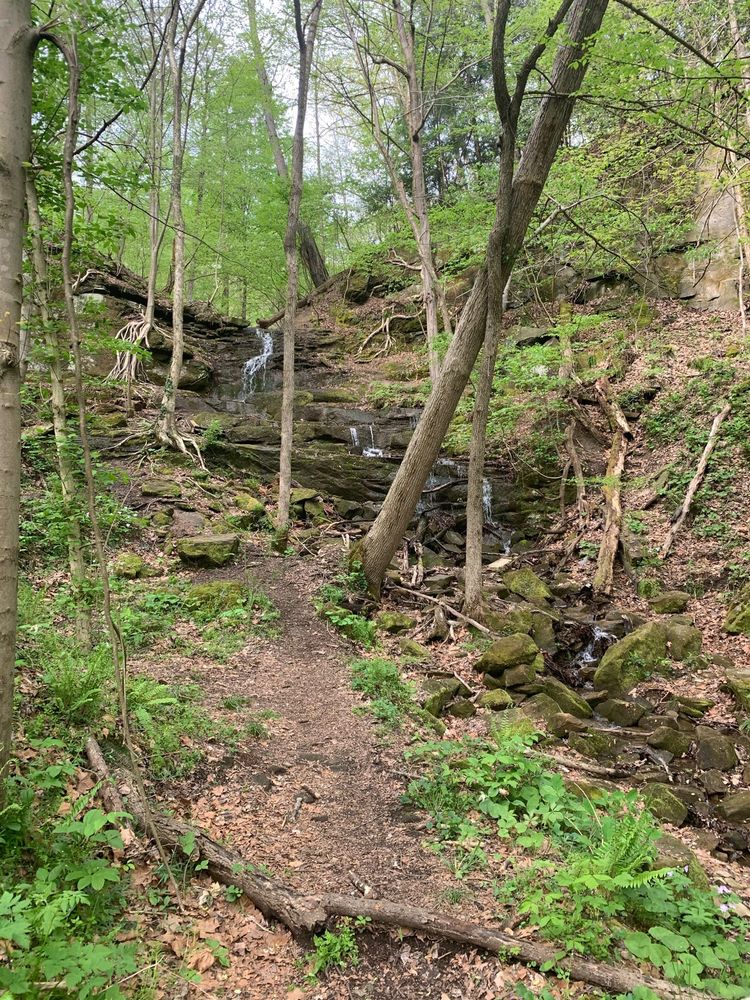 BLACKHAND STATE NATURE PRESERVE Updated November 2024 36