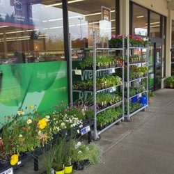 Rite Aid
