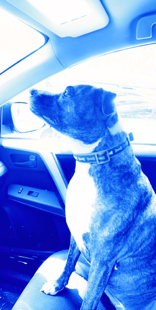 TURKEY CREEK ANIMAL HOSPITAL with 12 real customer photos Updated