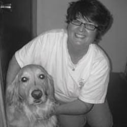 Augie & Friends Dog Training