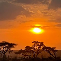 Little World Travel - Beautiful African Sunset