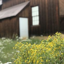 San Juan County Historical Society - Courtyard/garden
