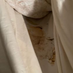 Simply Yours Concierge - Feces covered sheet and comforter thrown into my washer