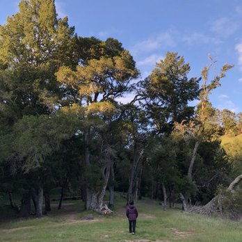Lake Lagunitas - Hiking Near Me - Fairfax, California