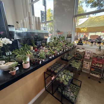 Bloomsgiving - Florists Near Me - Mountain View, California