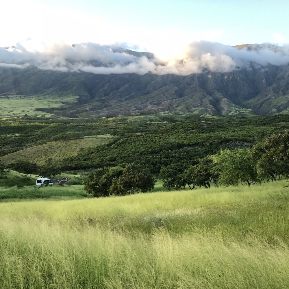 Skyline Hawaii - Tours Near Me - Kahului, Hawaii Skyline Hawaii - Tours Near Me - Kahului, Hawaii