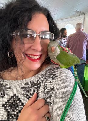 Bird Paradise by null