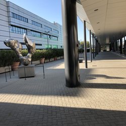 Aeroporto Internazionale di Pisa-San Giusto - On way to catch pisamover