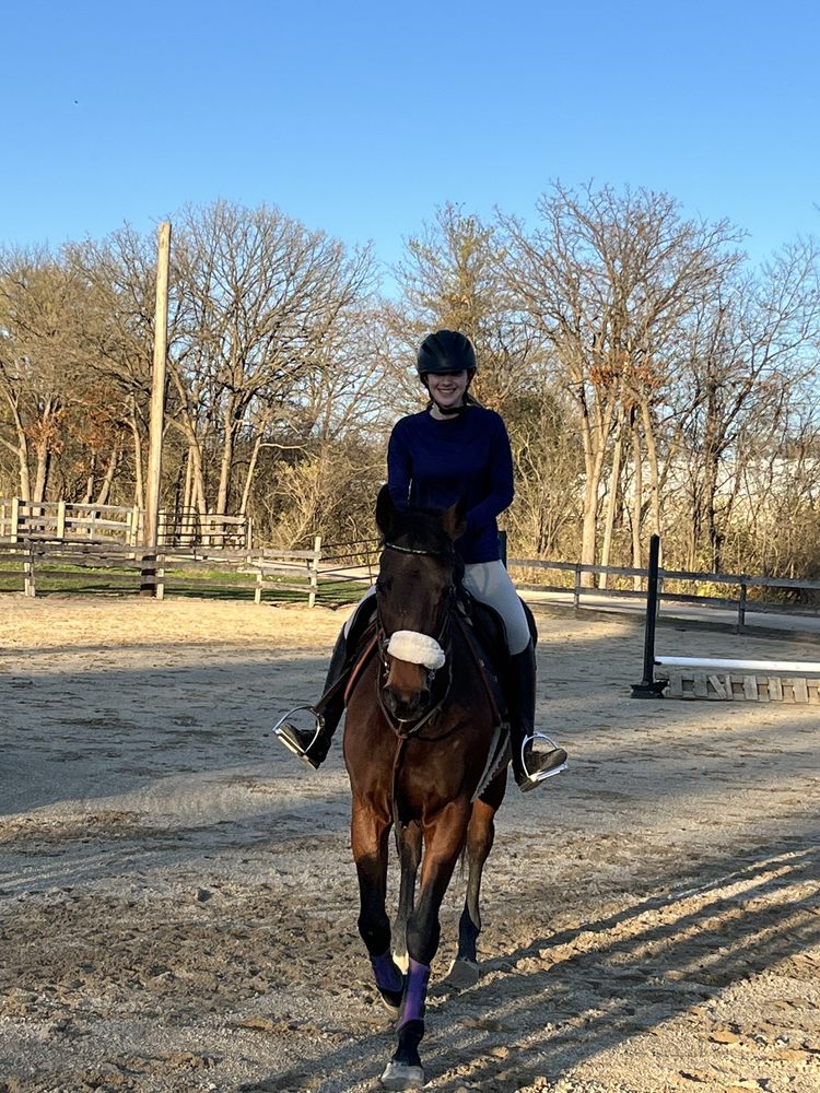 Foxcreek Stable - equestrian in Wauconda, IL