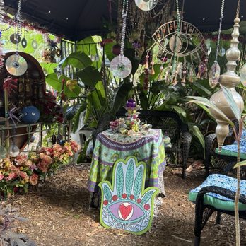 Whimzeyland - Art Tours Near Me - Safety Harbor, Florida Whimzeyland - Art Tours Near Me - Safety Harbor, Florida