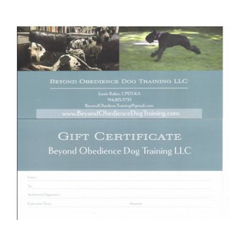 Beyond Obedience Dog Training - Pet Training Near Me Beyond Obedience Dog Training - Pet Training Near Me