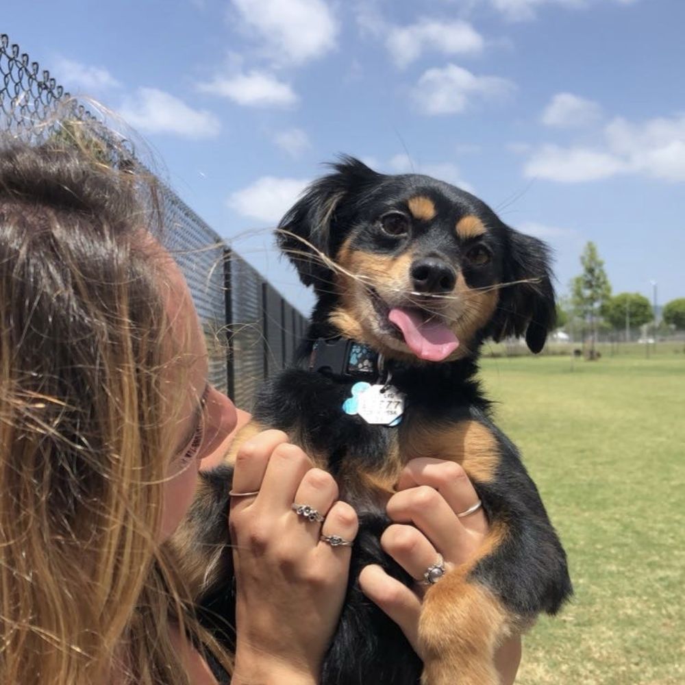 my pup Texas my pup Texas