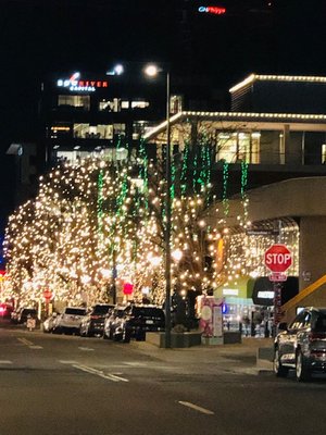 ELEMENT Home | Furnishings & Fine Art by null