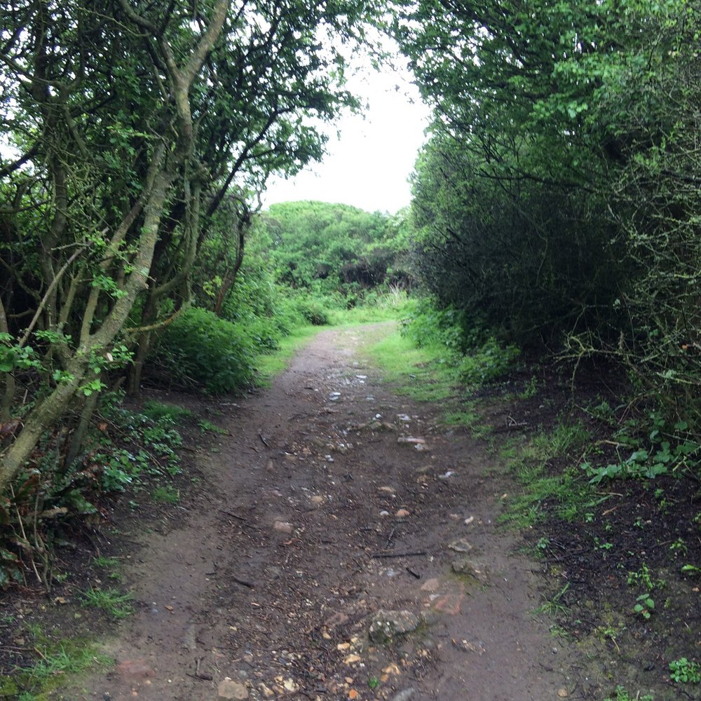 Castle Hill Nature Reserve - Dog Parks Near Me - Newhaven, ESX