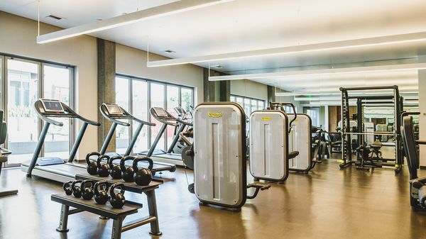 Blossom Plaza by null