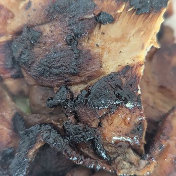 Ohana Hawaiian BBQ - Grilled chicken - Barbeque Near Me - Murrieta, California Ohana Hawaiian BBQ - Grilled chicken - Barbeque Near Me - Murrieta, California