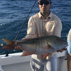 Boca Grande Florida Tarpon Fishing Charters