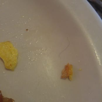 The Hideout Restaurant - Ok...so that's a hair! - American Near Me - Key Largo, Florida The Hideout Restaurant - Ok...so that's a hair! - American Near Me - Key Largo, Florida