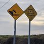 Photo of Ballyquin Beach