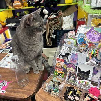 Catnip Coalition Vintage Mall - Nigel - Hats Near Me - Burbank, California