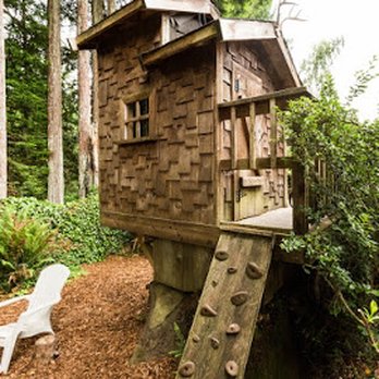 Stephanie Coffey - Benchmark Realty Group - Treehouse - Real Estate Agents Near Me - Eureka, California Stephanie Coffey - Benchmark Realty Group - Treehouse - Real Estate Agents Near Me - Eureka, California