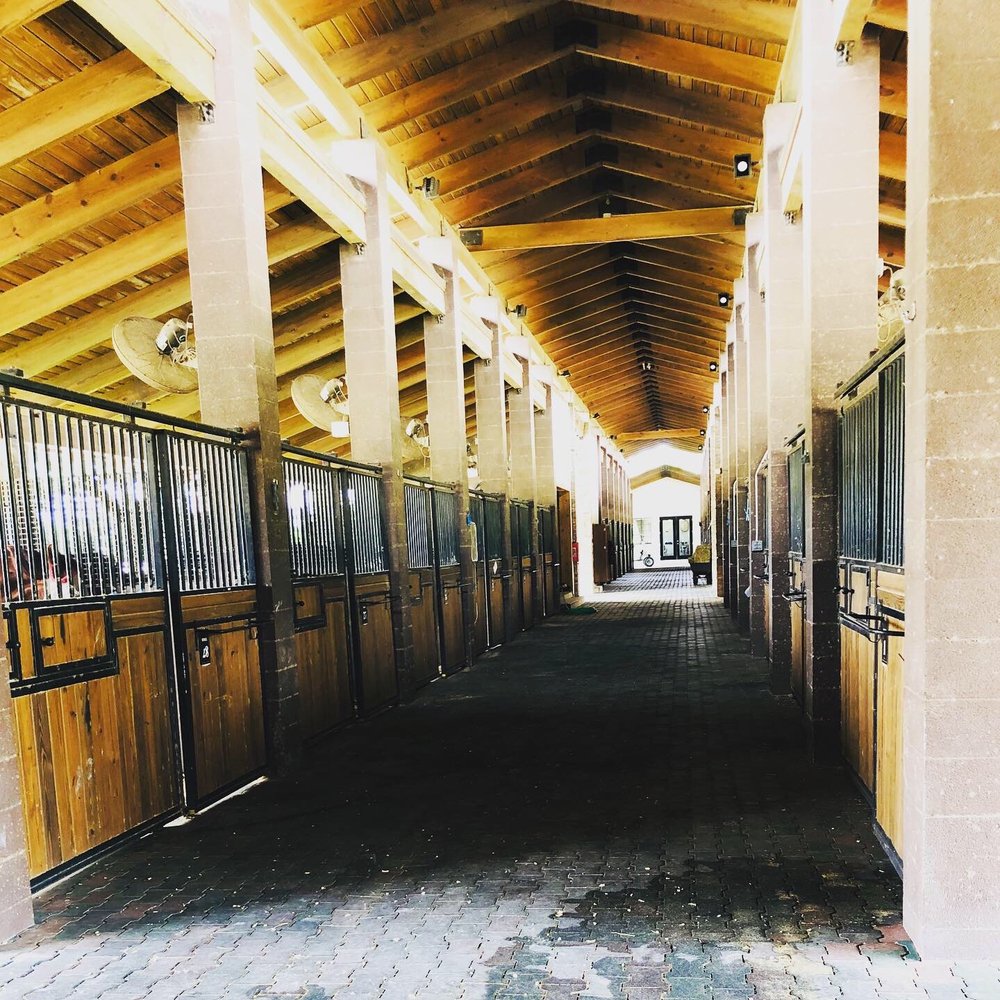 ELYSIAN STABLES MIAMI Updated June 2024 5895 SW 125th Ave, Miami